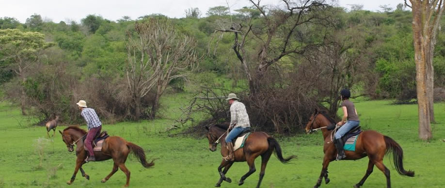 horse riding-lake mburo national park