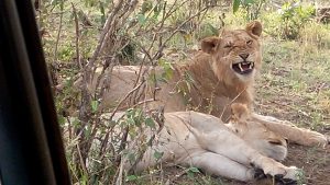 Kidepo National Park-