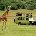 4x4 Car Hire in Uganda: How to Choose the Best Vehicle