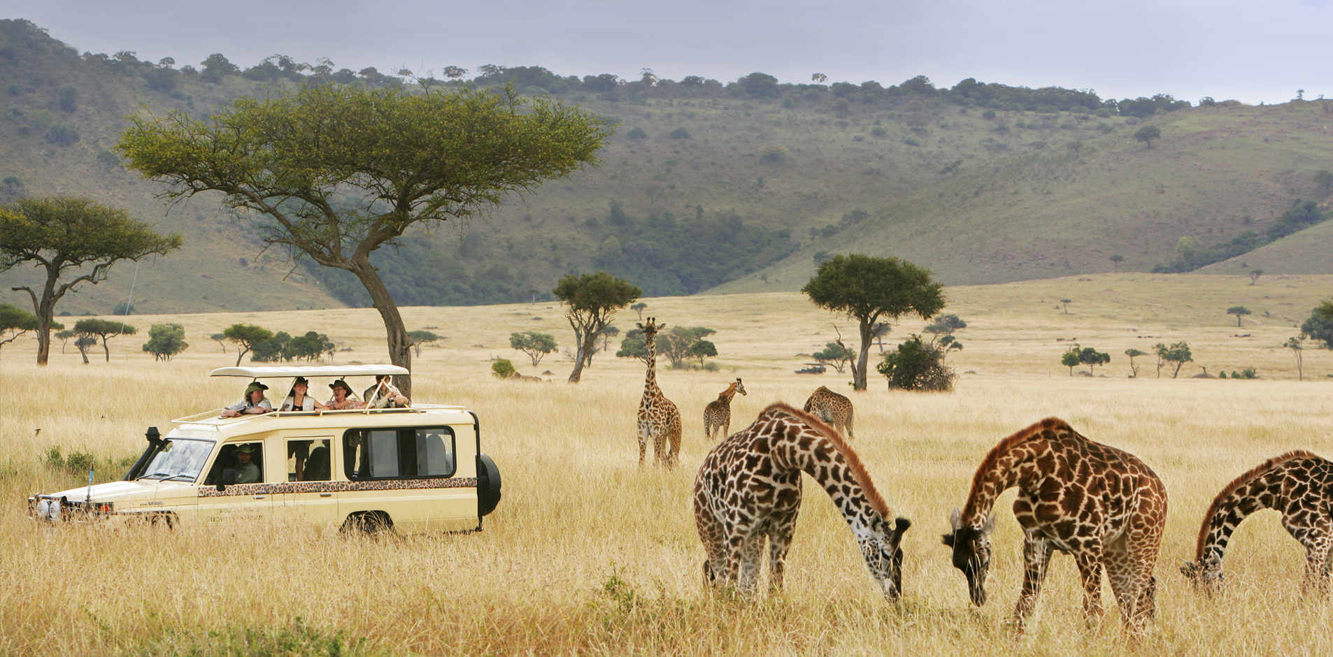 How to Plan a 4x4 Self-Drive Safari in Uganda: Everything You Need to Know