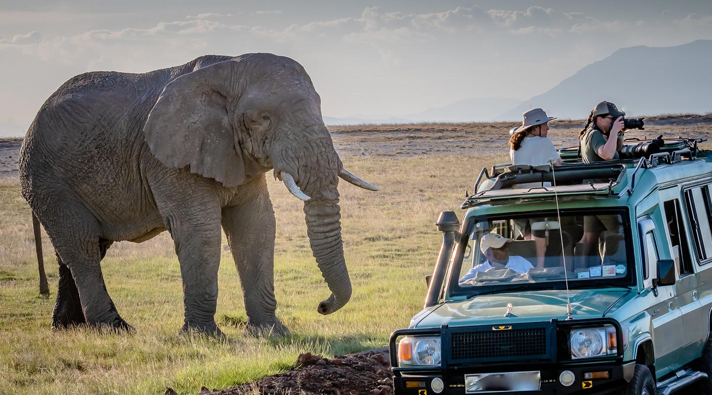 The Best Time of Year for a 4x4 Self-Drive Safari in Uganda