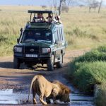 The Best Time of Year for a 4x4 Self-Drive Safari in Uganda