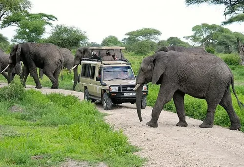 Ultimate Guide to 4x4 Self-Drive Adventures in Uganda