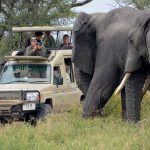 Ultimate Guide to 4x4 Self-Drive Adventures in Uganda