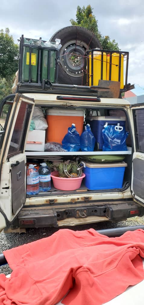 How to Travel on a Budget on an African Safari