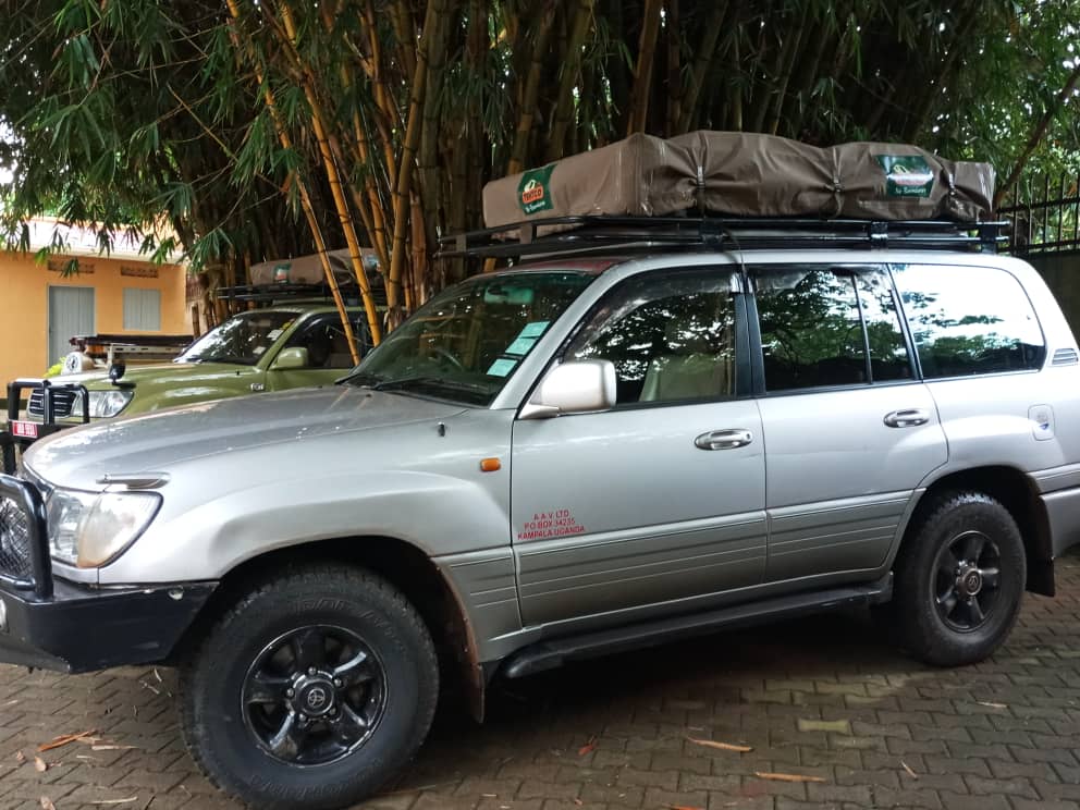 4x4 Rooftop Tent Car: Ultimate Guide
