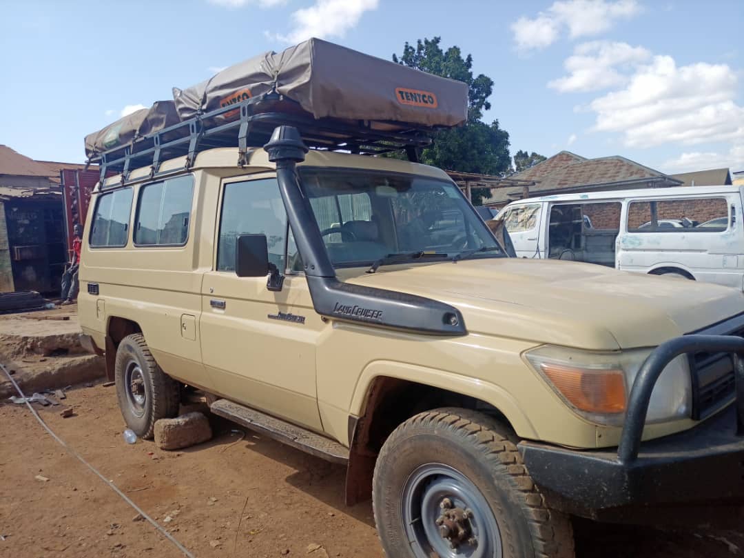 How to Travel on a Budget on an African Safari