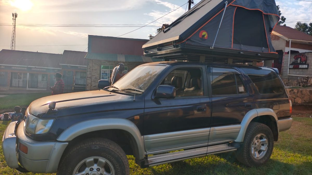 Advantages of Traveling with a Family Rooftop Tent on an African Safari