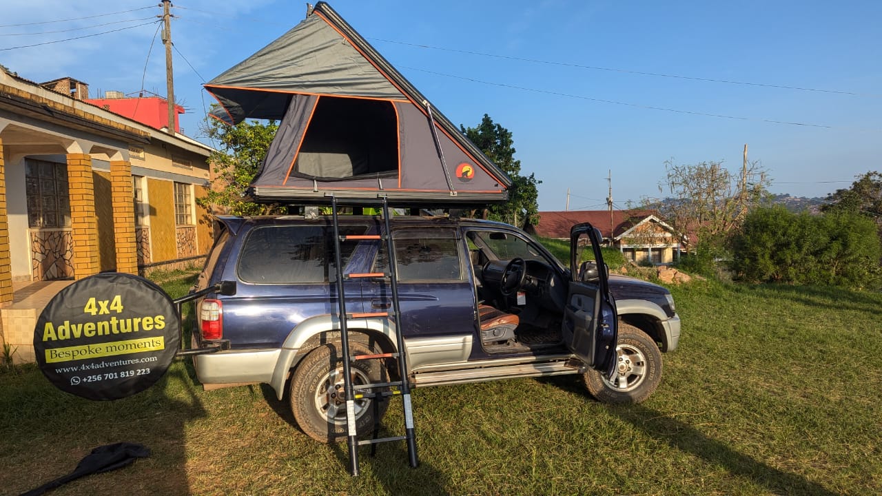 Family Rooftop Safaris vs Lodge Safaris